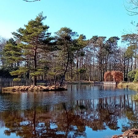 B&B Stripsein Wijnjewoude Eksteriør billede